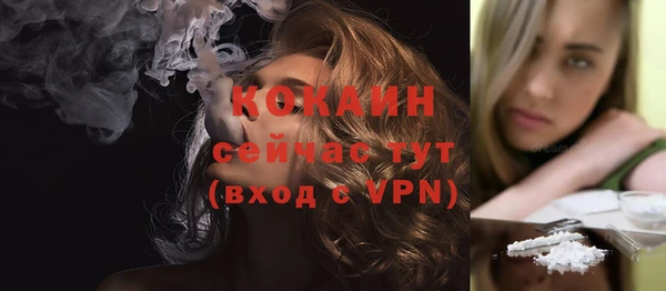 шишки Армянск