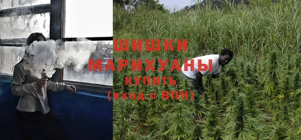 шишки Армянск