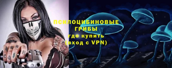 шишки Армянск