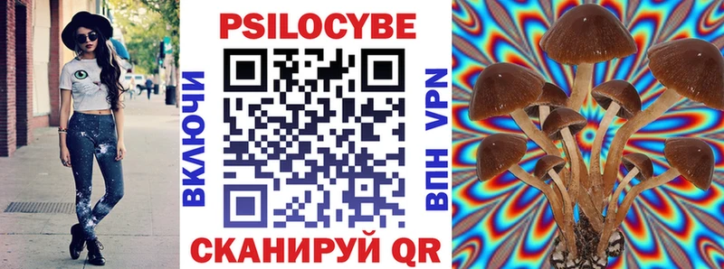 Галлюциногенные грибы мицелий дарнет шоп Губаха